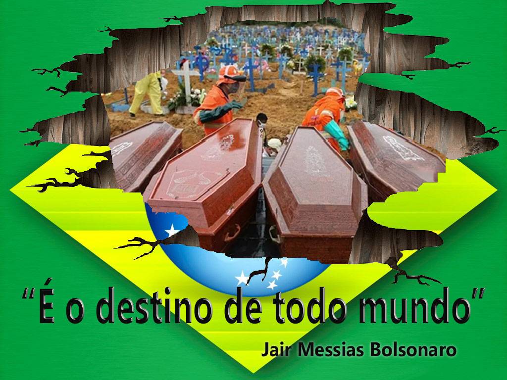 Meio milhão de mortos pela Covid-19 no Brasil